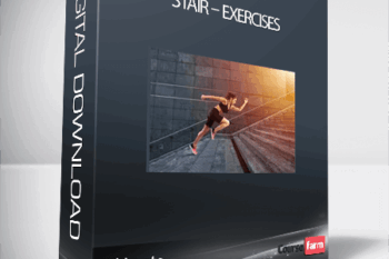 Ultimate – Stair – Exercises