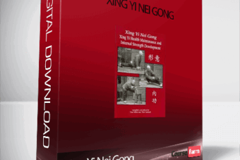 Xing Yi Nei Gong