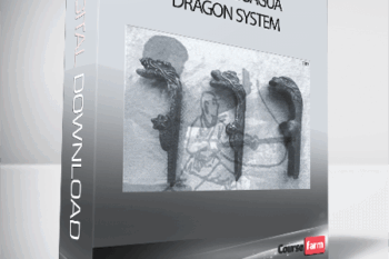 Yin Style Bagua Dragon System