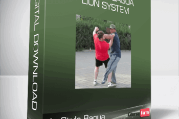 Yin Style Bagua – Lion System