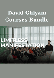 David Ghiyam Courses Bundle
